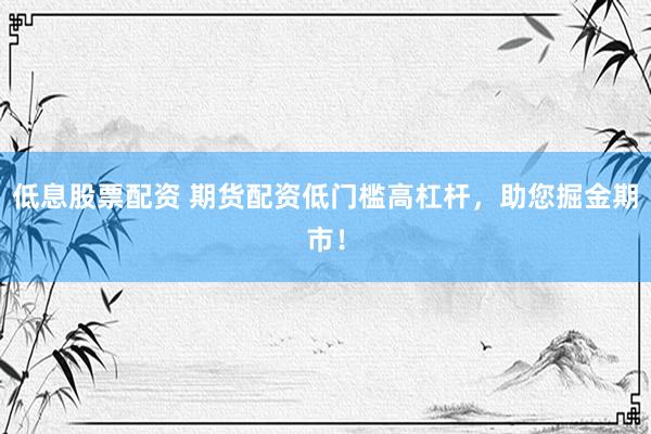 低息股票配资 期货配资低门槛高杠杆，助您掘金期市！