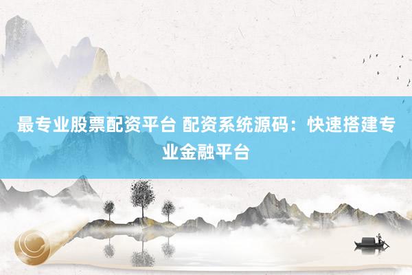 最专业股票配资平台 配资系统源码：快速搭建专业金融平台
