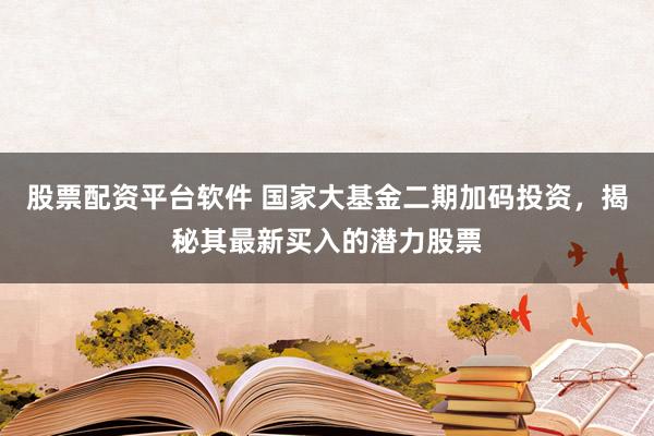股票配资平台软件 国家大基金二期加码投资，揭秘其最新买入的潜力股票
