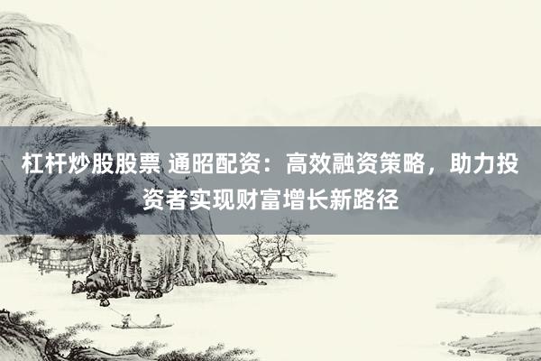杠杆炒股股票 通昭配资：高效融资策略，助力投资者实现财富增长新路径