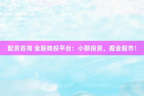 配资咨询 金股微投平台：小额投资，掘金股市！