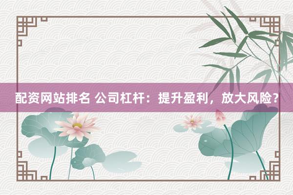 配资网站排名 公司杠杆：提升盈利，放大风险？