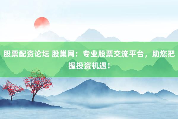 股票配资论坛 股巢网：专业股票交流平台，助您把握投资机遇！