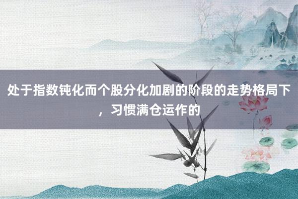 处于指数钝化而个股分化加剧的阶段的走势格局下，习惯满仓运作的