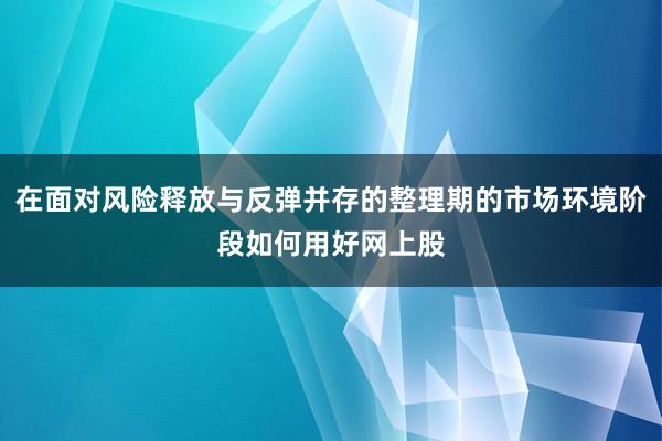 在面对风险释放与反弹并存的整理期的市场环境阶段如何用好网上股