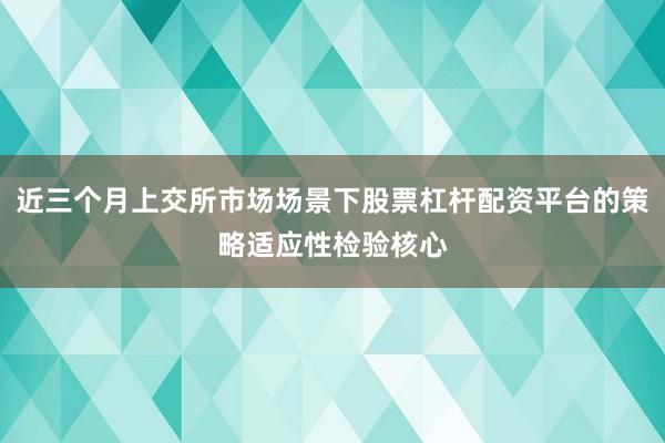 近三个月上交所市场场景下股票杠杆配资平台的策略适应性检验核心