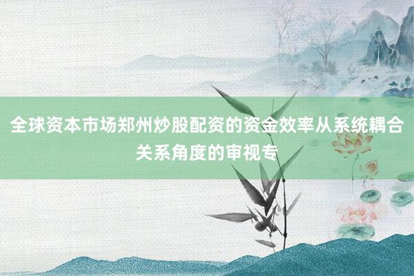 全球资本市场郑州炒股配资的资金效率从系统耦合关系角度的审视专